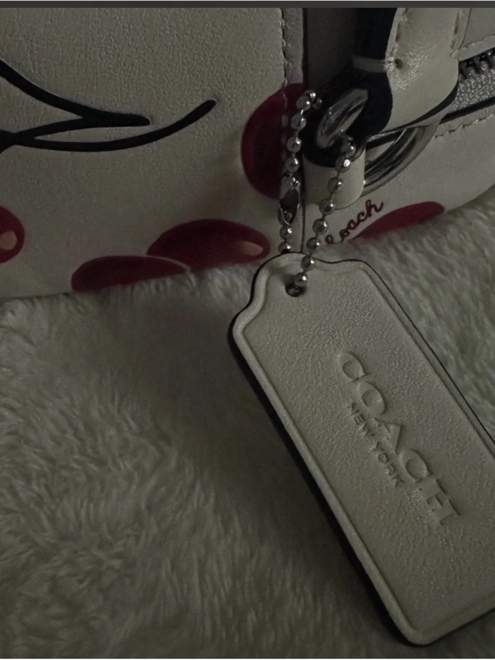 COACH White Cherry Print Cosmetic Case